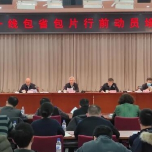 农业农村部下沉一线包省包片夺夏粮小麦丰收行动全面展开